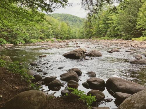 A serene river flows through a lush green landscape, surrounded by trees and large rocks along the water's edge.