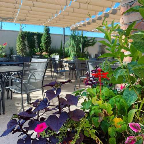 A sunny outdoor patio with tables and chairs, surrounded by vibrant flowers and greenery under a shaded canopy.