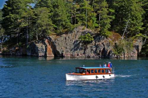 A small boat with passengers navigates calm waters near a rocky shoreline and lush green trees.