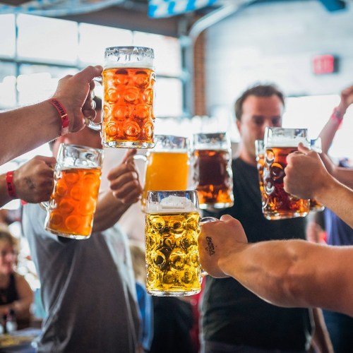 A group of people raising various mugs of beer in a lively celebration at a brewery or bar.