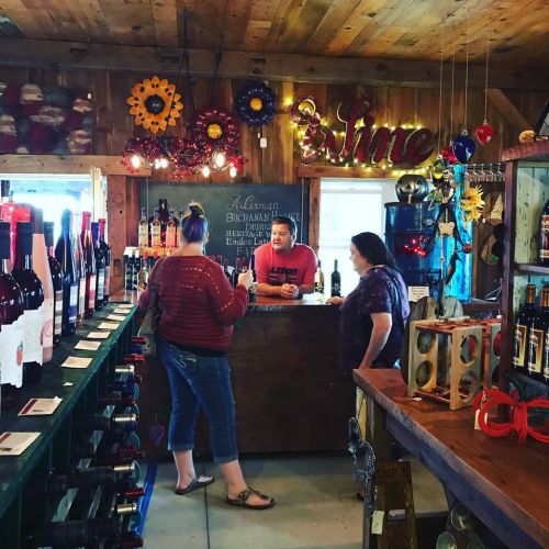 A cozy wine shop interior with a wooden bar, two customers chatting with a staff member, and shelves of wine bottles.