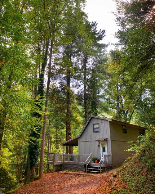 A cozy gray house nestled among tall trees, with a wooden deck and autumn leaves scattered on the ground.