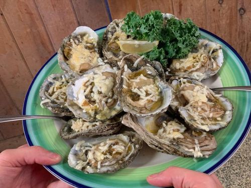 A plate of baked oysters topped with cheese, served with a lemon wedge and a garnish of kale.