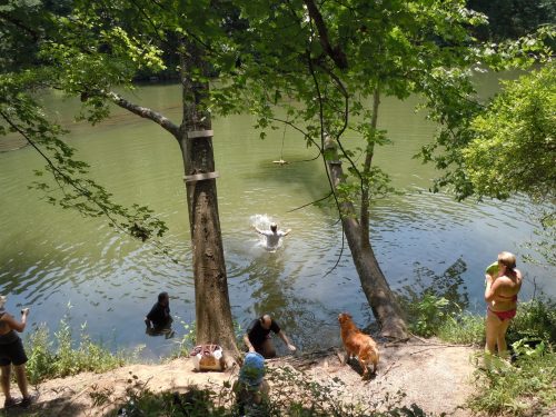 A sunny riverside scene with people swimming, a dog on the shore, and trees surrounding the water.