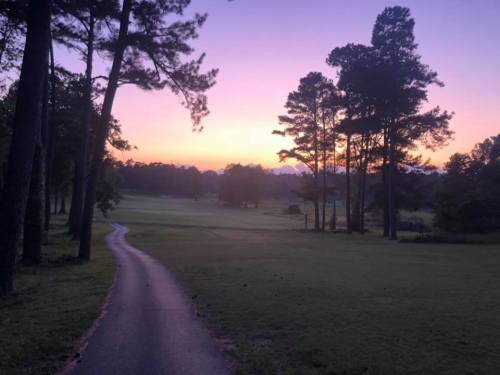 A serene pathway through trees at sunset, with a colorful sky and a peaceful landscape in the background.