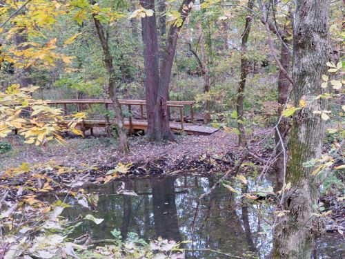 A serene wooded area with autumn leaves, featuring a wooden bridge over a calm pond.