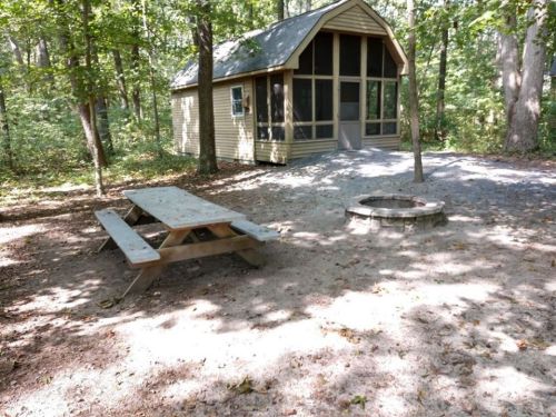 A cabin in a wooded area with a picnic table and a fire pit in front, surrounded by trees and dappled sunlight.