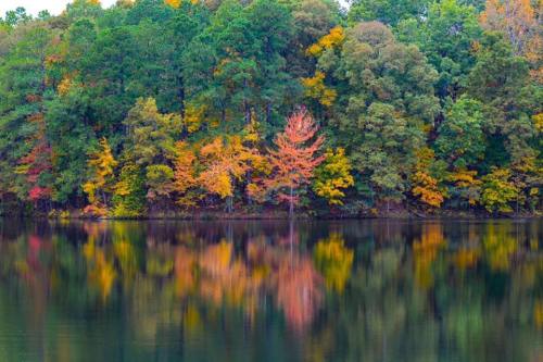 Vibrant autumn trees reflect in a calm lake, showcasing shades of green, orange, and yellow.