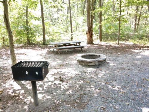 A picnic area in a wooded park featuring a grill, picnic table, and a stone fire pit surrounded by trees.