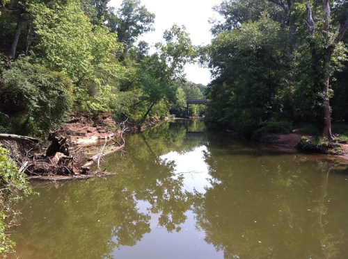 A serene river surrounded by lush greenery, reflecting trees and a bridge in the distance under a clear sky.