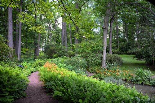A lush garden path winds through vibrant greenery and flowers, surrounded by tall trees and a serene pond.