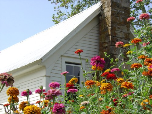 A white house with a sloped roof, partially obscured by colorful flowers in the foreground under a clear blue sky.