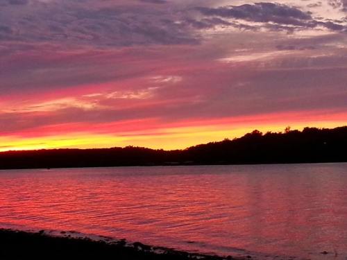 A vibrant sunset over a calm lake, with pink and orange hues reflecting on the water and silhouetted trees in the background.