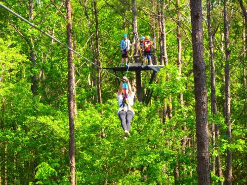 A person zip-lining through a lush green forest, with others waiting on a platform above.