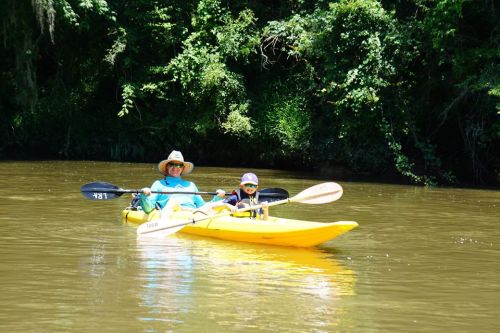 A person and a child paddle a yellow kayak on a calm river surrounded by lush greenery.