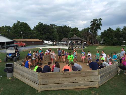 A group of children and adults gather around a wooden enclosure in a grassy area, with trees and buildings in the background.