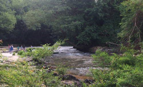 A serene river flows through a lush green landscape, with people enjoying the natural setting along the banks.