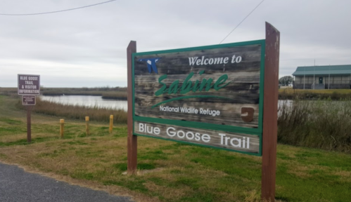 Sign welcoming visitors to Sabine National Wildlife Refuge, featuring information about the Blue Goose Trail.
