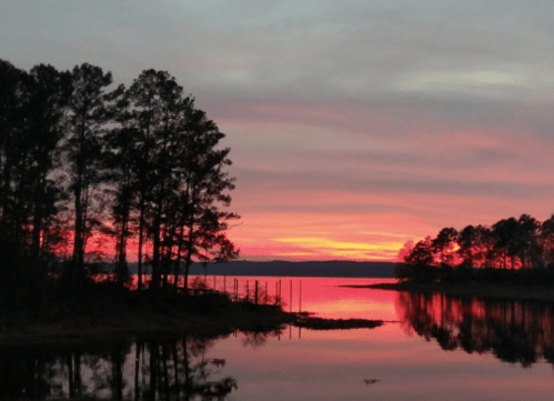 A serene lake at sunset, with vibrant pink and orange hues reflecting on the water and silhouetted trees in the foreground.