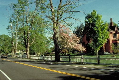 A scenic road lined with trees and a colorful house, featuring a white fence and blue sky.