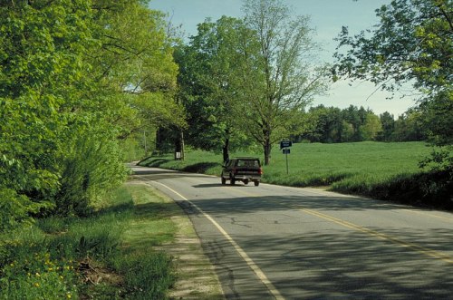 A pickup truck drives along a tree-lined road beside a green field on a sunny day.