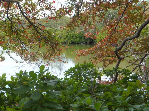 A serene view of a calm river framed by vibrant green foliage and autumn-colored leaves.
