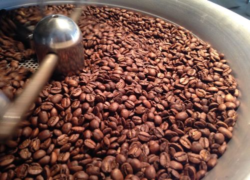 Close-up of roasted coffee beans being mixed in a large metal roasting drum.