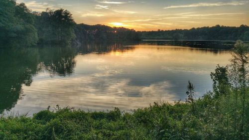 Sunset over a calm lake, reflecting clouds and trees, with lush greenery in the foreground.
