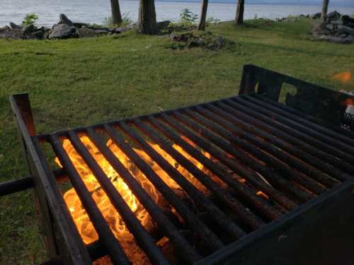 A grill with flames visible, set in a grassy area near a lake, surrounded by trees.