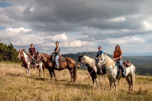 Four riders on horseback stand in a grassy field with a scenic view of rolling hills and cloudy skies.