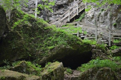 A lush, green forest scene with moss-covered rocks and wooden steps leading up through a rocky landscape.