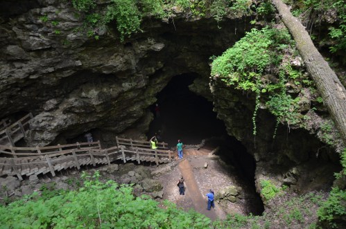 A cave entrance surrounded by lush greenery, with a wooden walkway and people exploring the area.