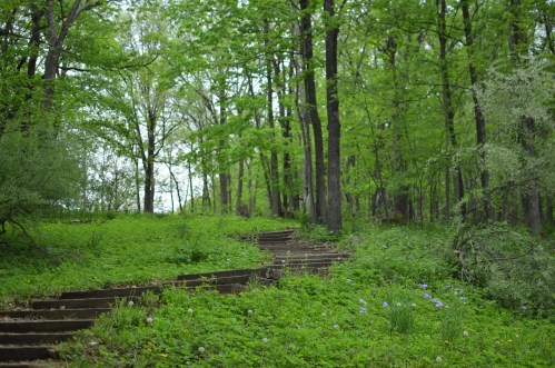 A winding stone path through a lush green forest, surrounded by trees and vibrant foliage.