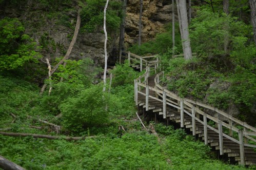 A winding wooden staircase leads through lush green foliage and rocky terrain in a forested area.