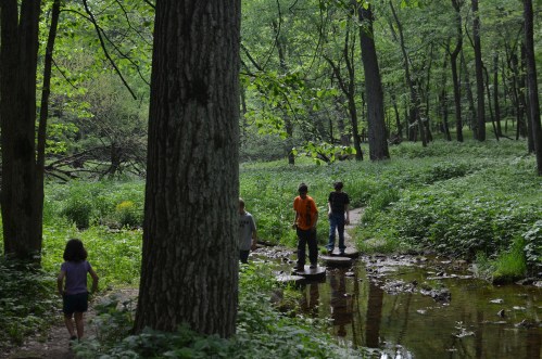 Children play on stepping stones in a lush green forest, with a small stream and trees surrounding them.