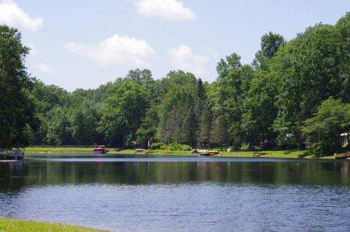 A serene lake surrounded by lush green trees under a clear blue sky, with boats gently floating on the water.