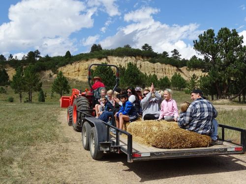 A group of children and adults enjoy a hayride on a trailer pulled by a tractor through a scenic landscape.