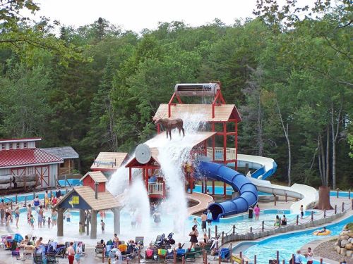 A water park scene featuring a large slide, a moose statue, and people enjoying the pool area.