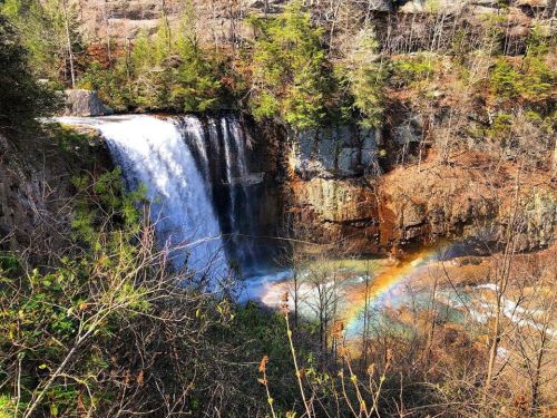 A waterfall cascades over rocks, surrounded by trees, with a rainbow arching over the water below.