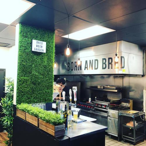 Interior of a modern kitchen with a bar, greenery, and a sign reading "Born and Bred" and "Bred Beer Garden."
