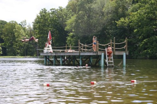 A wooden dock by a lake with people swimming, diving, and relaxing in the sun surrounded by trees.