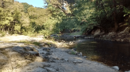 A serene riverbank scene with rocky shores, surrounded by lush green trees and clear water under a bright blue sky.