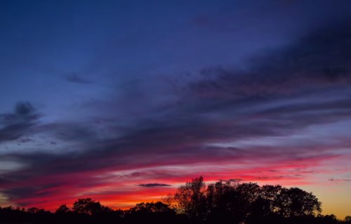 A vibrant sunset with deep blue and purple skies, streaked with pink and orange clouds, silhouetting dark trees.