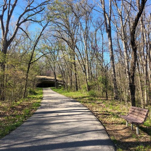 A winding path through a wooded area, leading to a shelter, with a bench on the side and clear blue skies above.