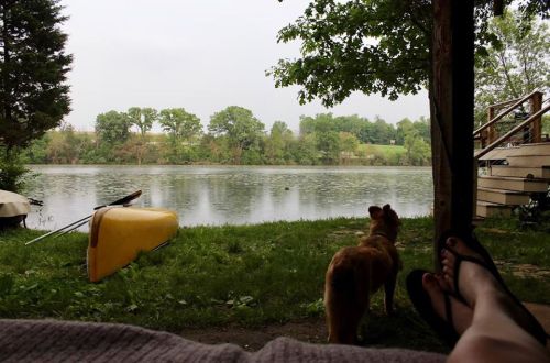 A peaceful lakeside view with a dog standing on the grass, a kayak nearby, and a person’s feet visible in the foreground.