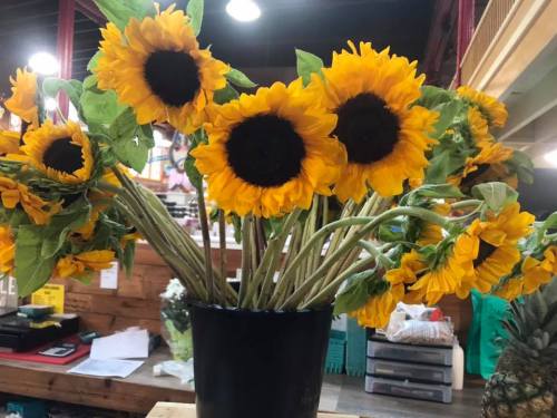 A vibrant bouquet of sunflowers in a black vase, with green leaves, set against a rustic background.