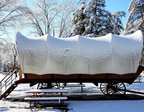 A covered wagon blanketed in snow, surrounded by trees, with a clear blue sky in the background.