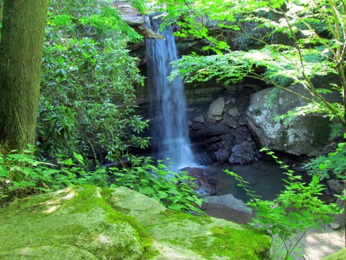 A serene waterfall cascades over rocks, surrounded by lush green foliage and mossy stones in a tranquil forest setting.