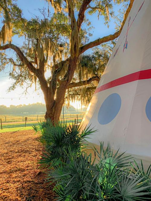 A teepee stands beside a tree draped in Spanish moss, with a sunny landscape in the background.