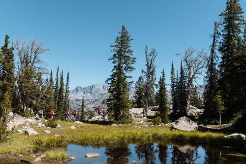 Hikers traverse a scenic landscape with tall trees, mountains in the background, and a reflective pond.